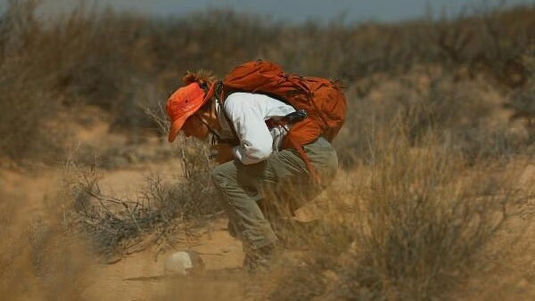 Migrant Arrests at US-Mexico Border Drop to Lowest Level on Record US-Mexico border arrests