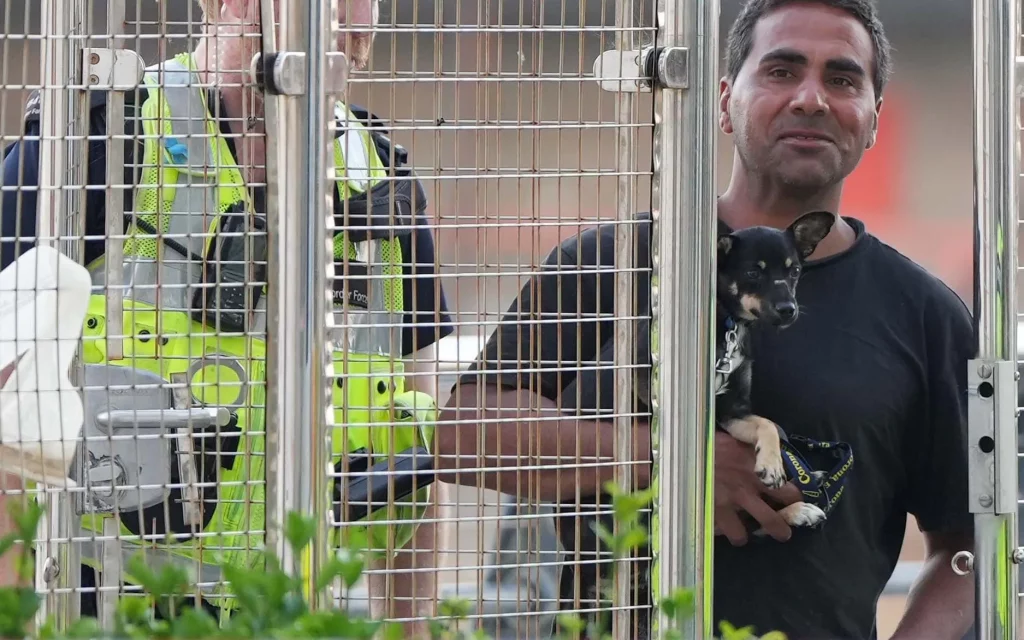 Migrant and dog rescued from Channel