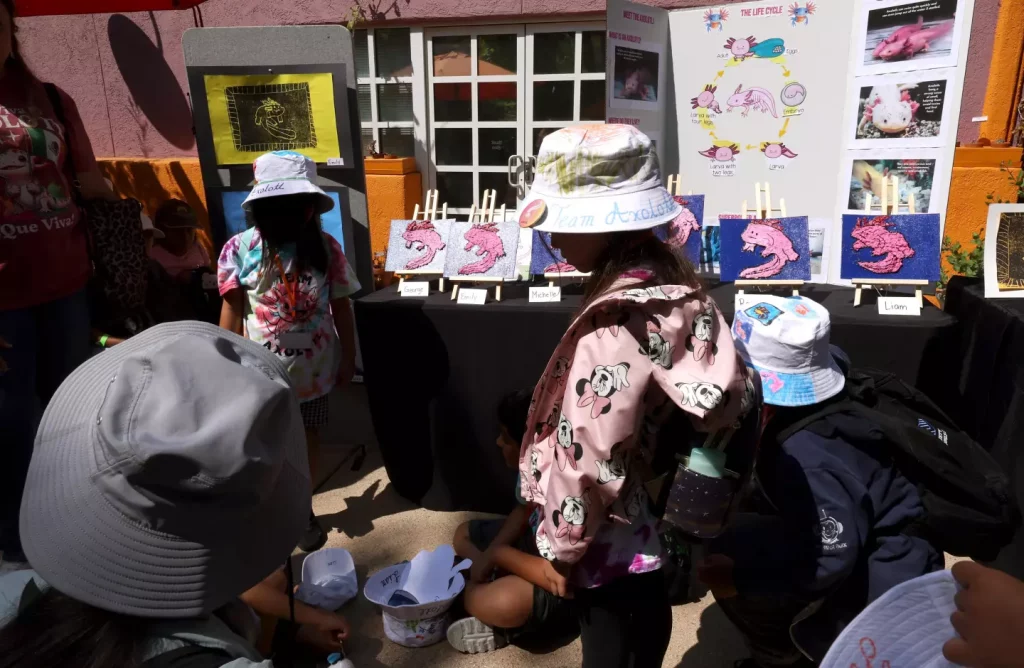 Migrant summer school in Los Angeles