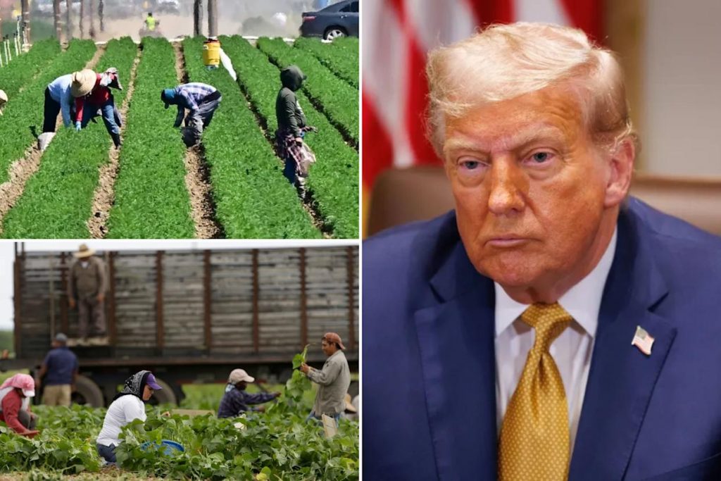 Trump no amnesty for migrant farmworkers