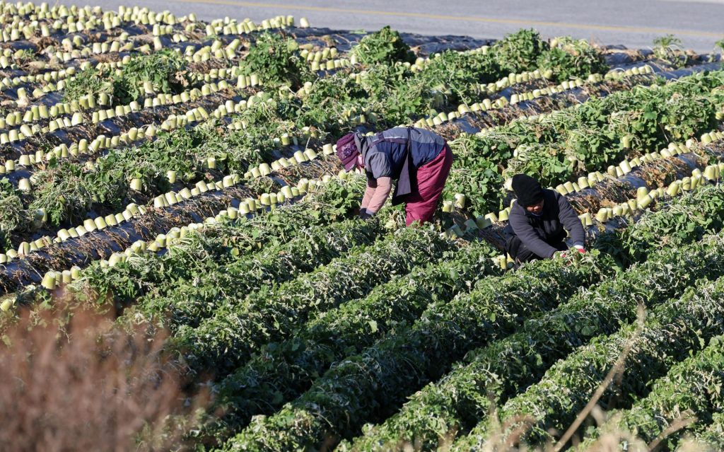 Migrant worker labor exploitation