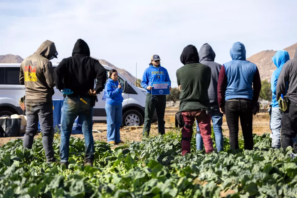 Migrant Farmworkers Raise Alarm Over ICE Raids in California and Oregon Migrant farmworkers ICE raids