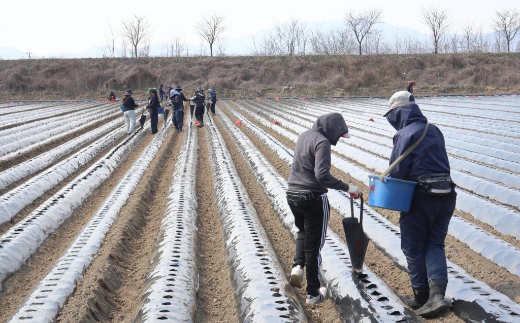 South Korea migrant worker tax exemption